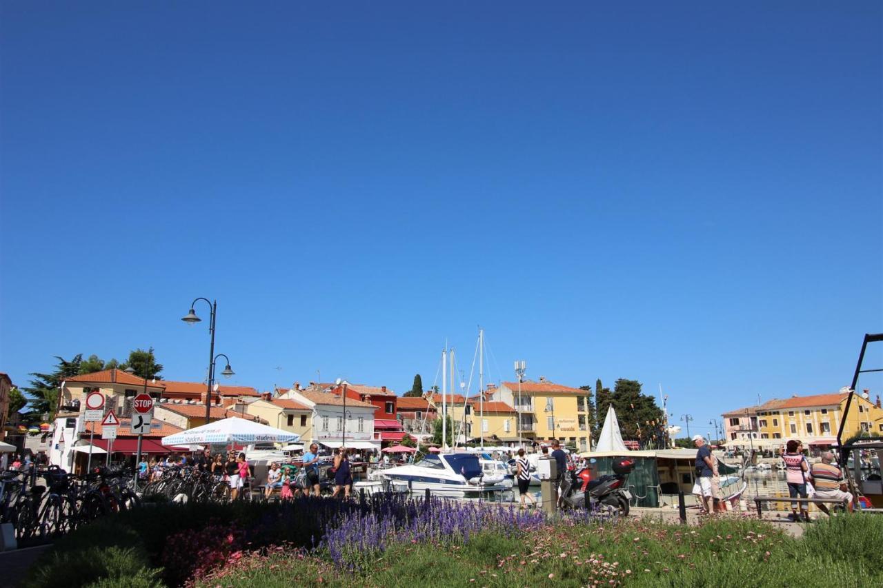 Irena A2 Leilighet Novigrad Istria Eksteriør bilde
